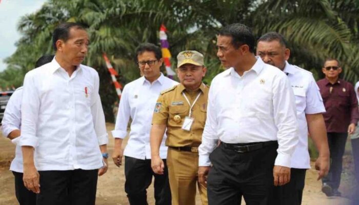 Mentan dampingi Presiden tinjau Pompanisasi pada Kotawaringin Timur