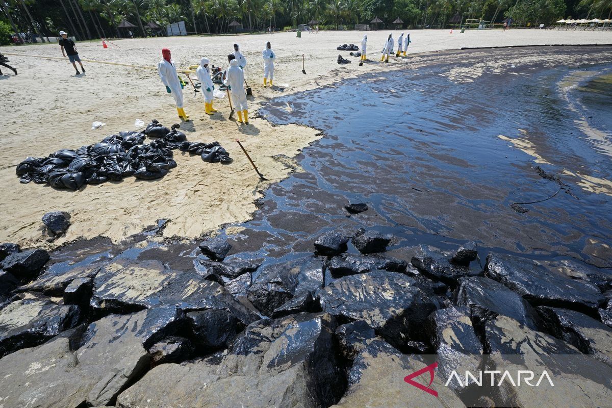 Singapura butuh tiga bulan bersihkan tumpahan minyak pada resor Sentosa