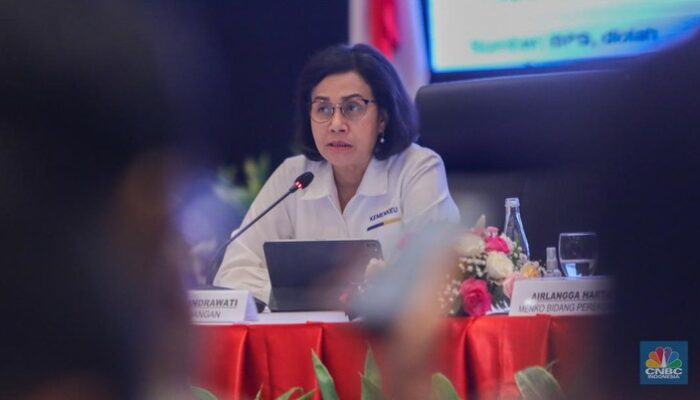 Saat Sri Mulyani Beri Pekerjaan Khusus yang Bikin Bos OJK Lemas